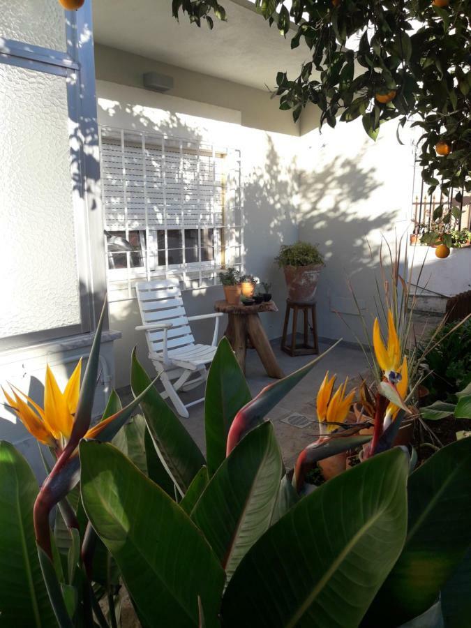 Sun House Apartment